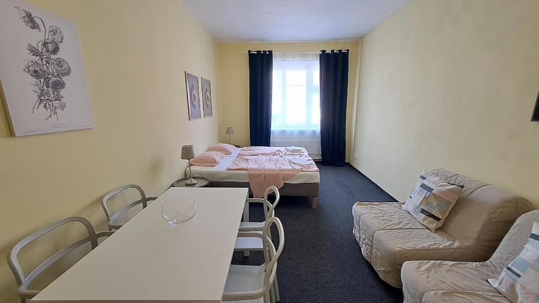 Flat In Zizkov -402- Prag