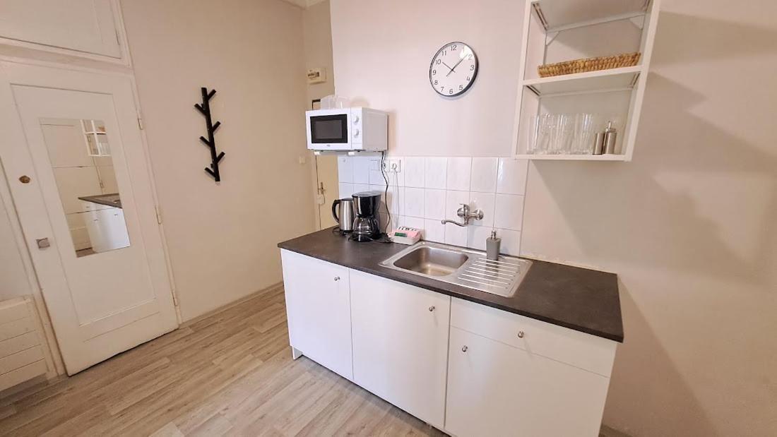 Flat In Zizkov -402- Daire Prag